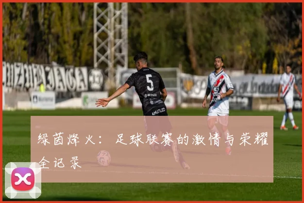 绿茵烽火：足球联赛的激情与荣耀全记录